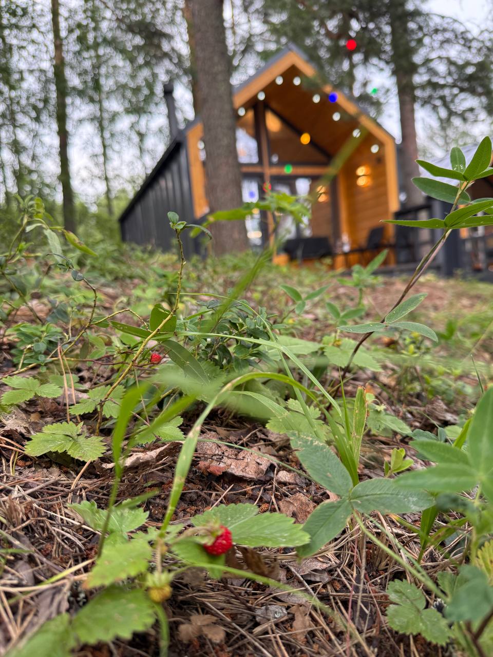 Барнхаус Tishina 2